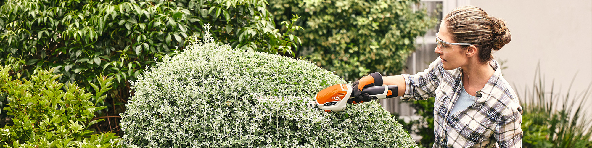 Hecke Header 2 2000 500
